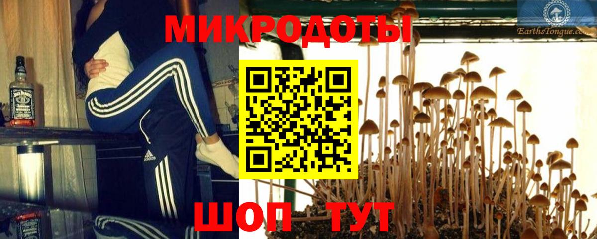 Галлюциногенные грибы Cubensis Кисловодск
